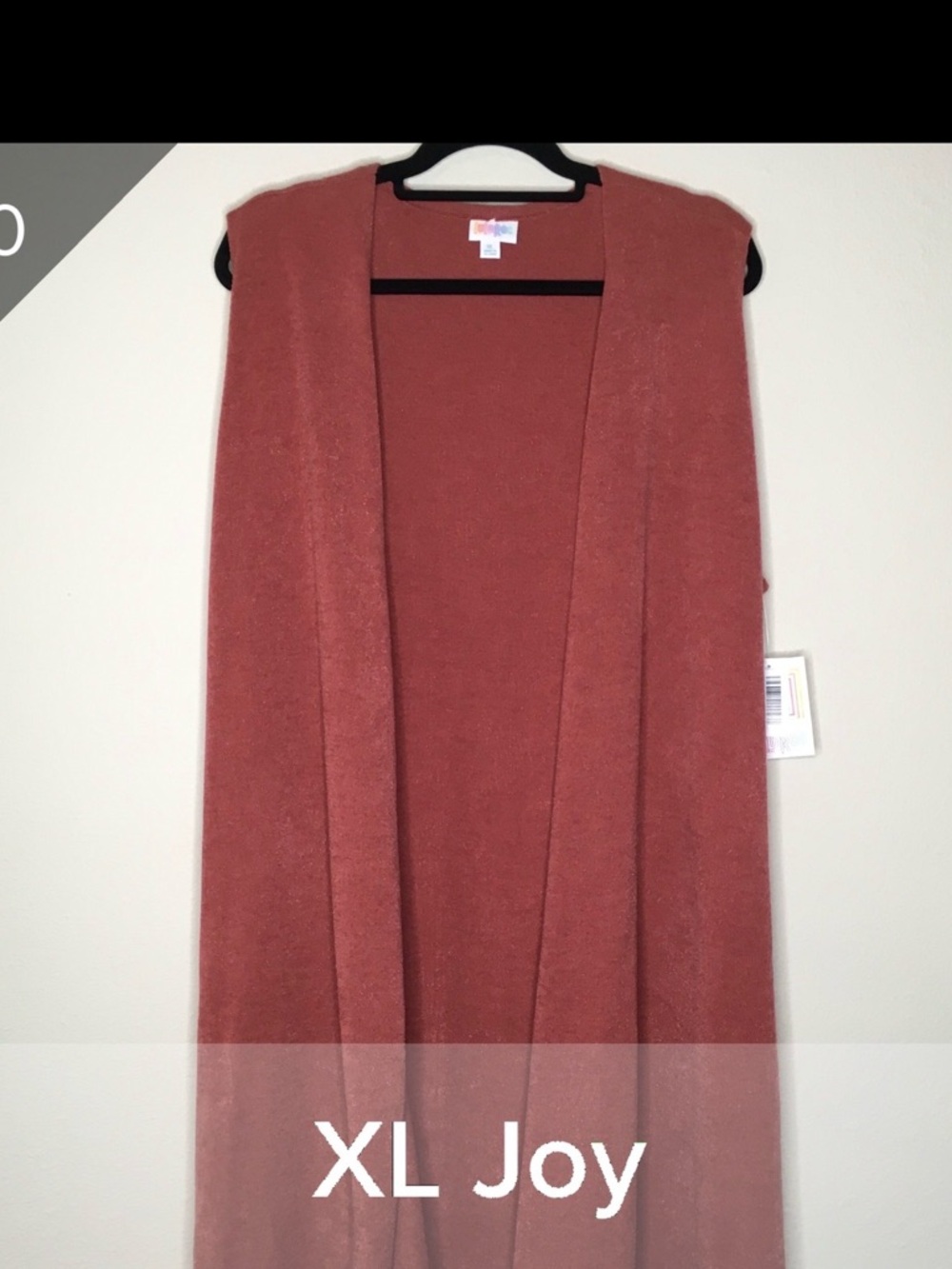 LuLaRoe Sleeveless Open-Front Long Cardigan in Terracotta